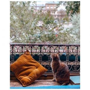 Foto ventana Shakespeare & Company