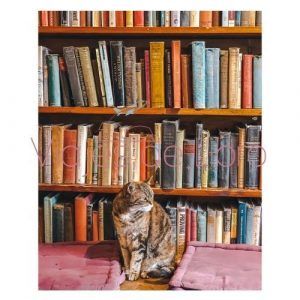 Foto gato Shakespeare & Company