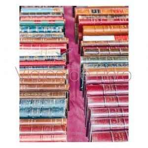 Foto libros viejos (3)