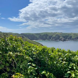 Sark (Excursión de 1 día)