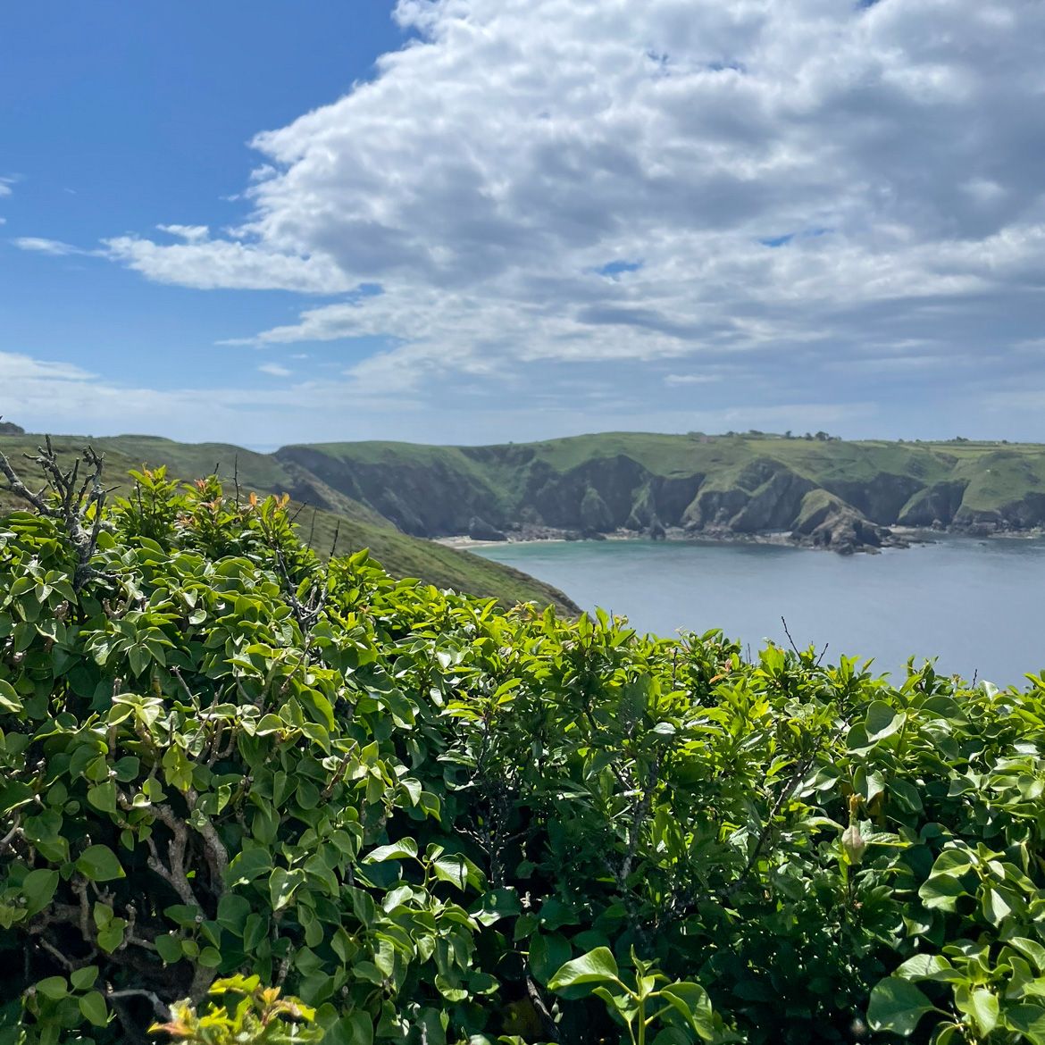 Sark (Excursión de 1 día)